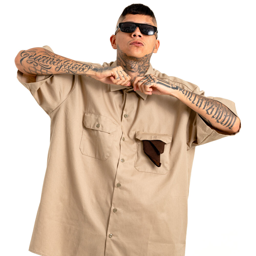 Picture of Chato 473