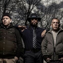 Picture of Swollen Members
