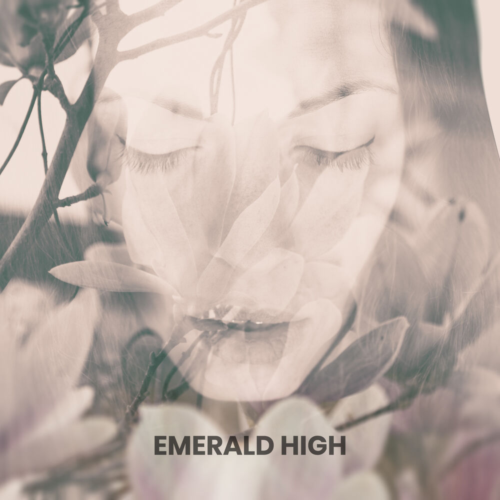 Picture of Emerald High