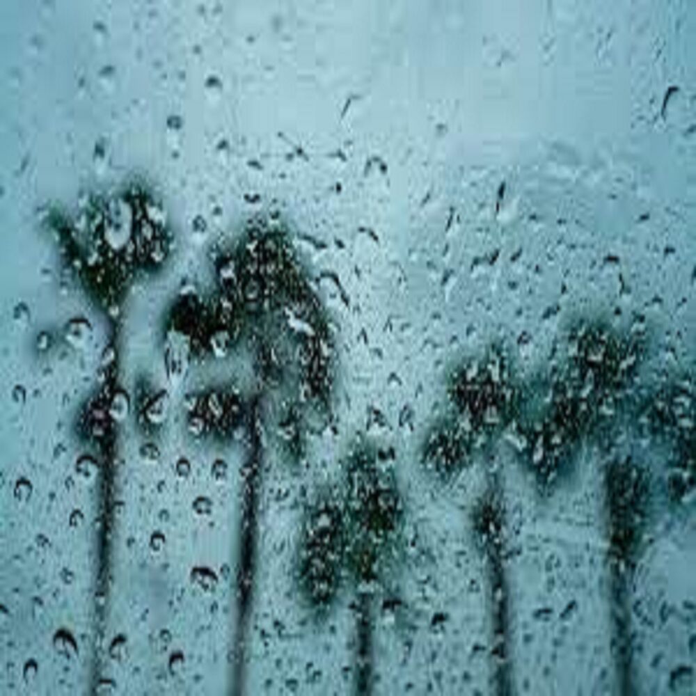 Picture of Rain Spa