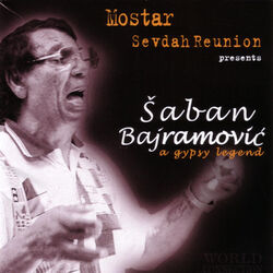 Picture of Saban Bajramovic