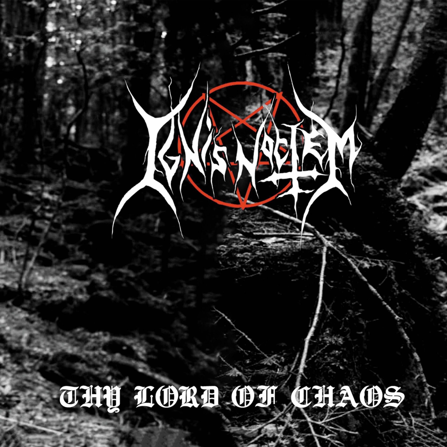 Ignis Noctem