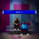 Siggy & D1ns