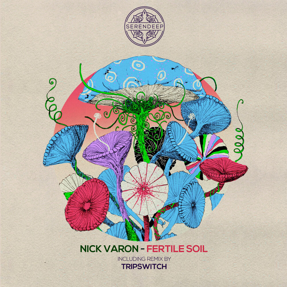 Picture of Nick Varon