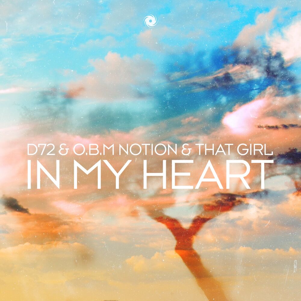 Picture of O.B.M Notion