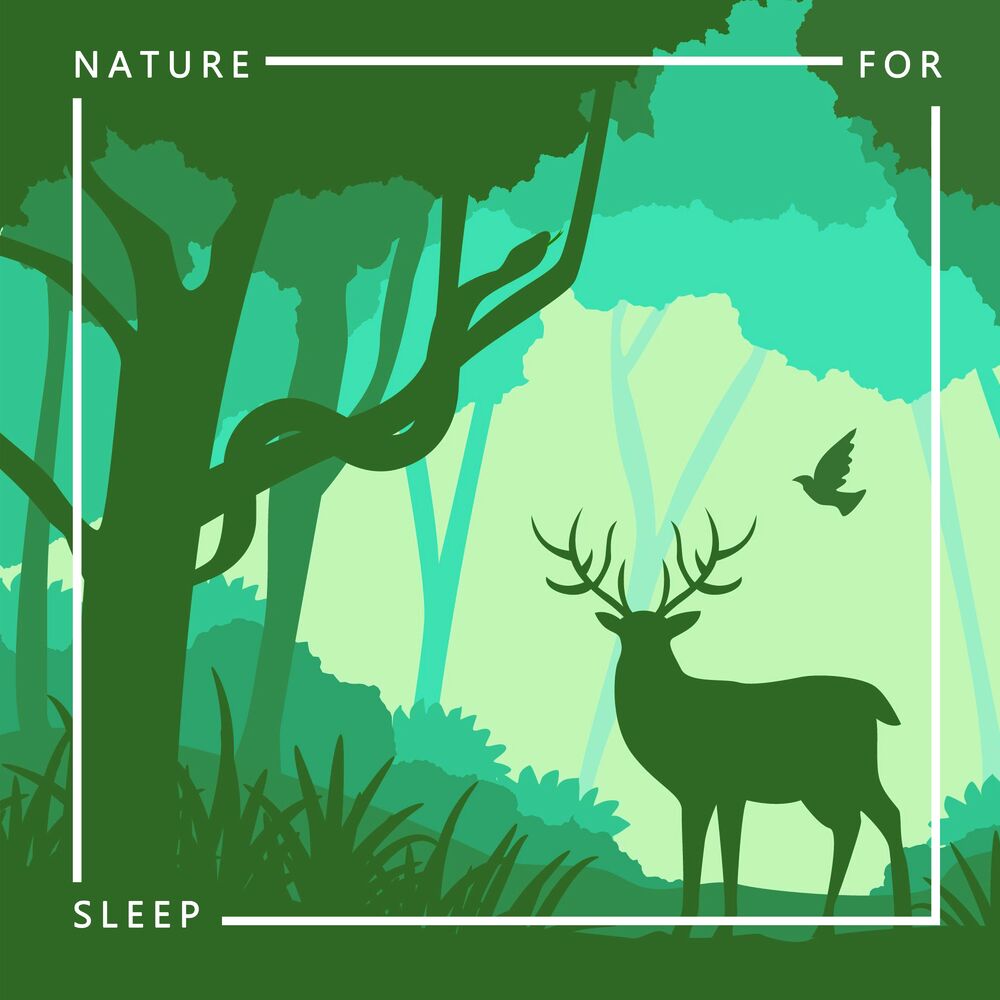 Picture of Ambient Nature Sounds