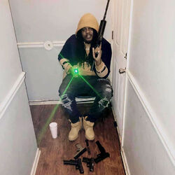 Picture of Fbg Duck