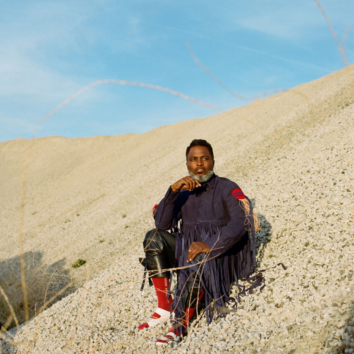 Artist picture of Shabazz Palaces