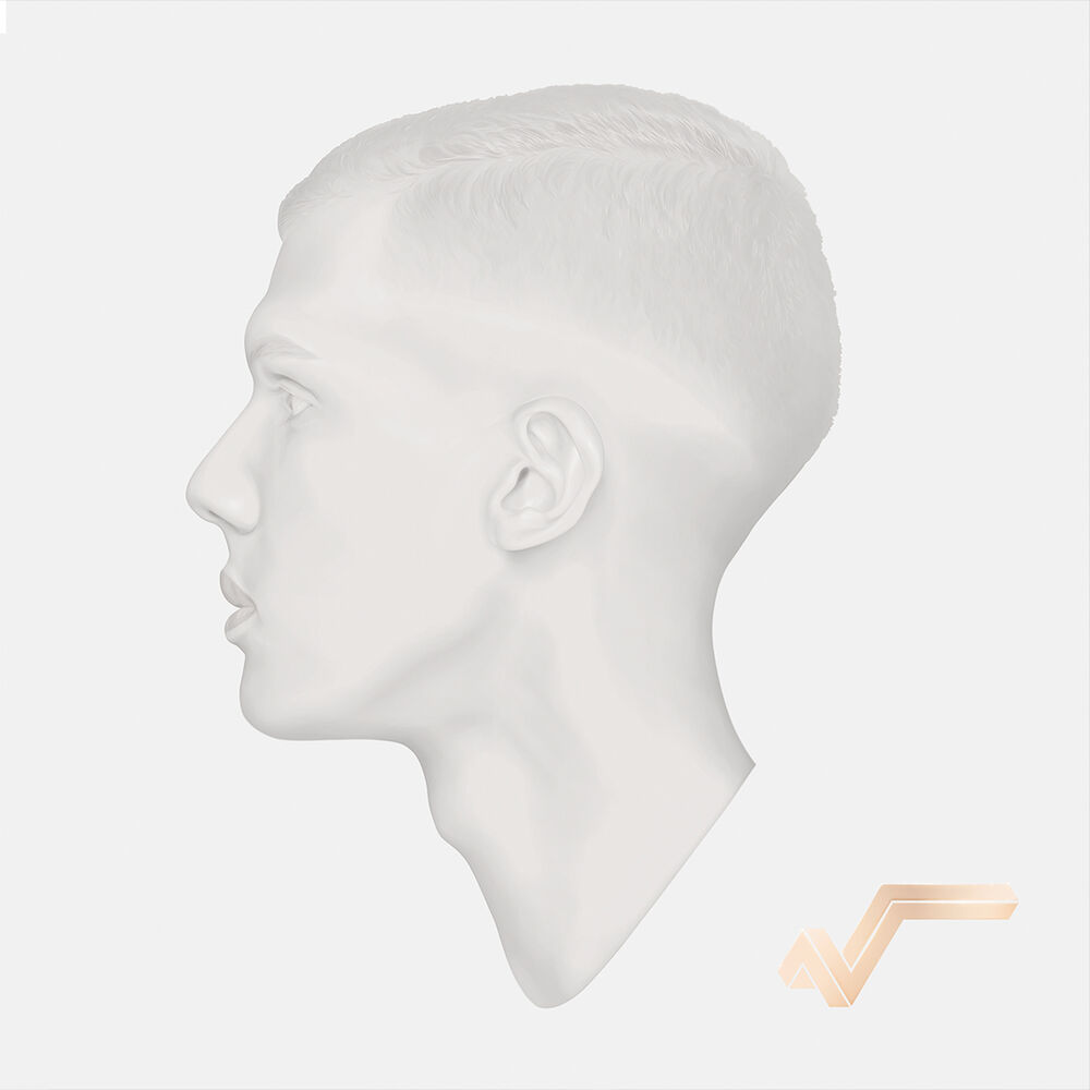 Picture of Stromae