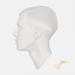 Picture of Stromae