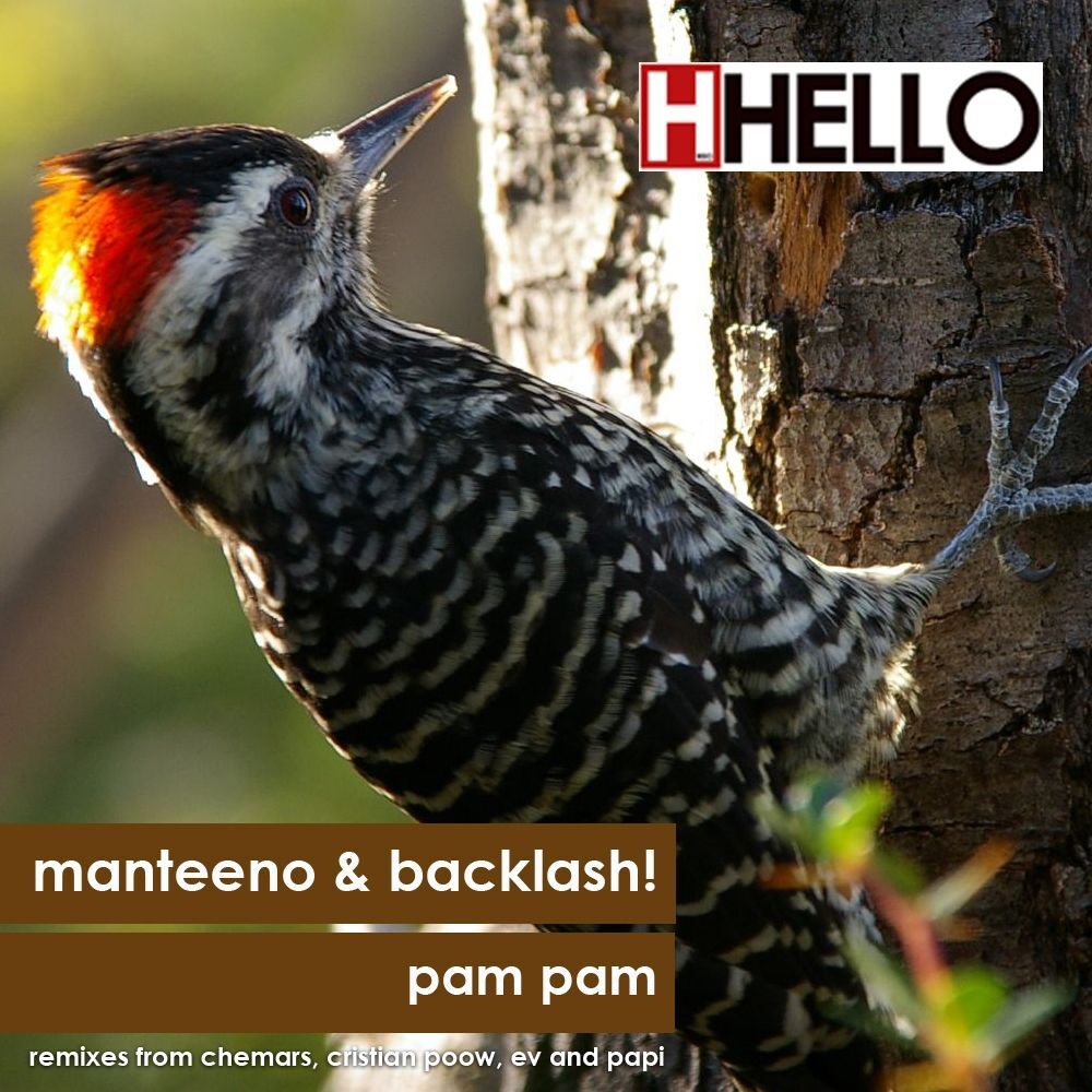 Picture of Manteeno