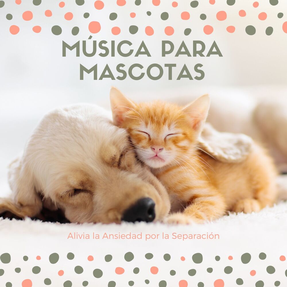 Picture of Música para Mascotas