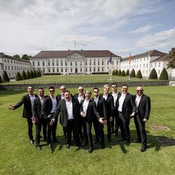 Picture of The 12 Tenors