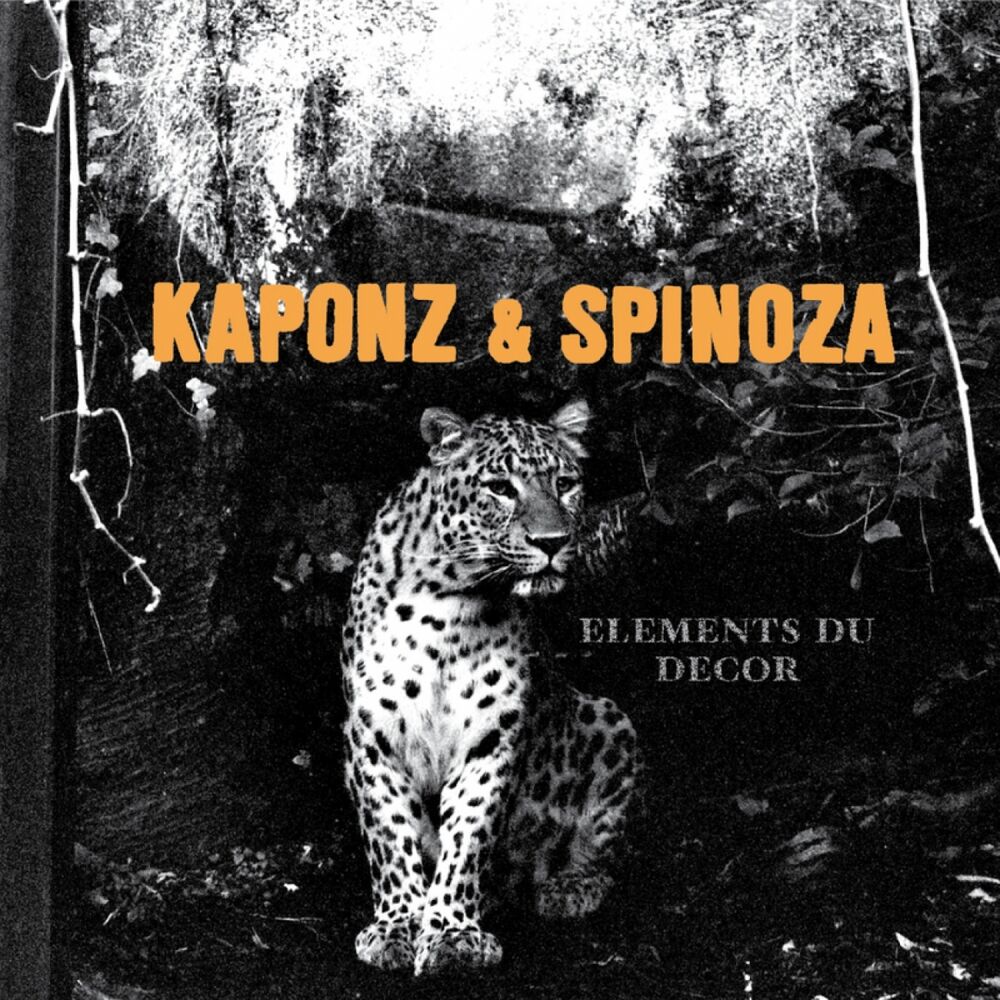 Picture of Kaponz & Spinoza