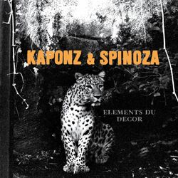 Picture of Kaponz & Spinoza