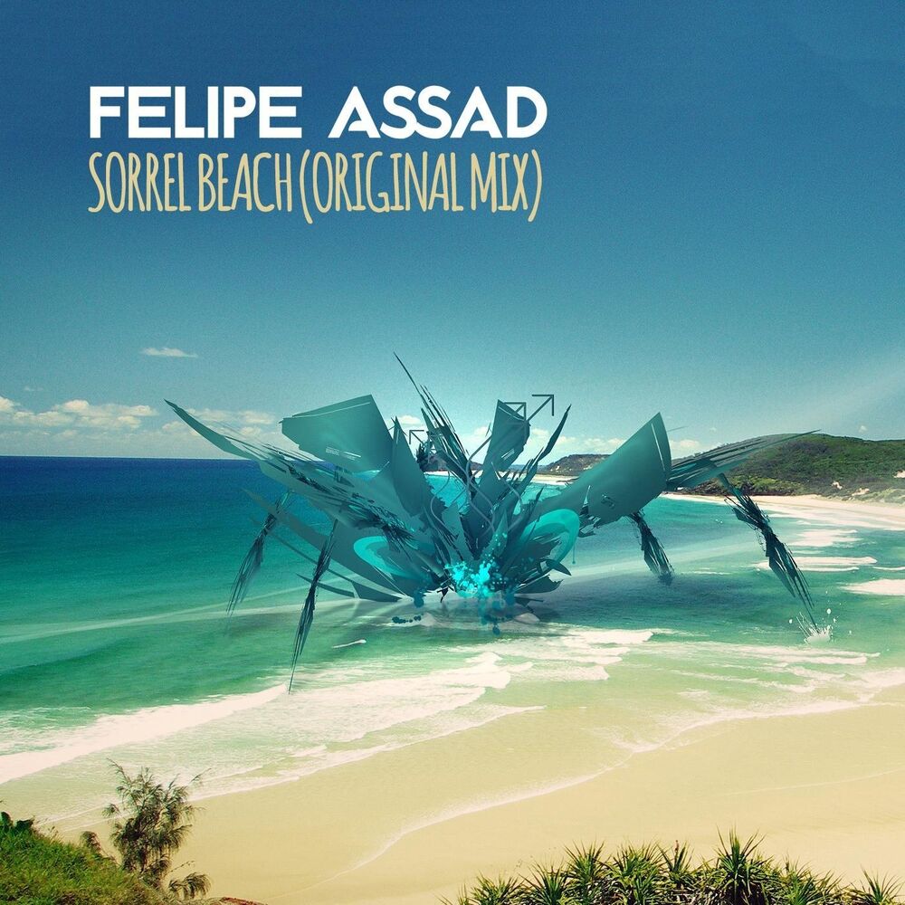 Picture of Felipe Assad