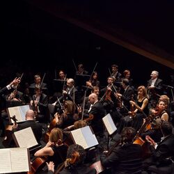 Picture of Orchestra del Maggio Musicale Fiorentino