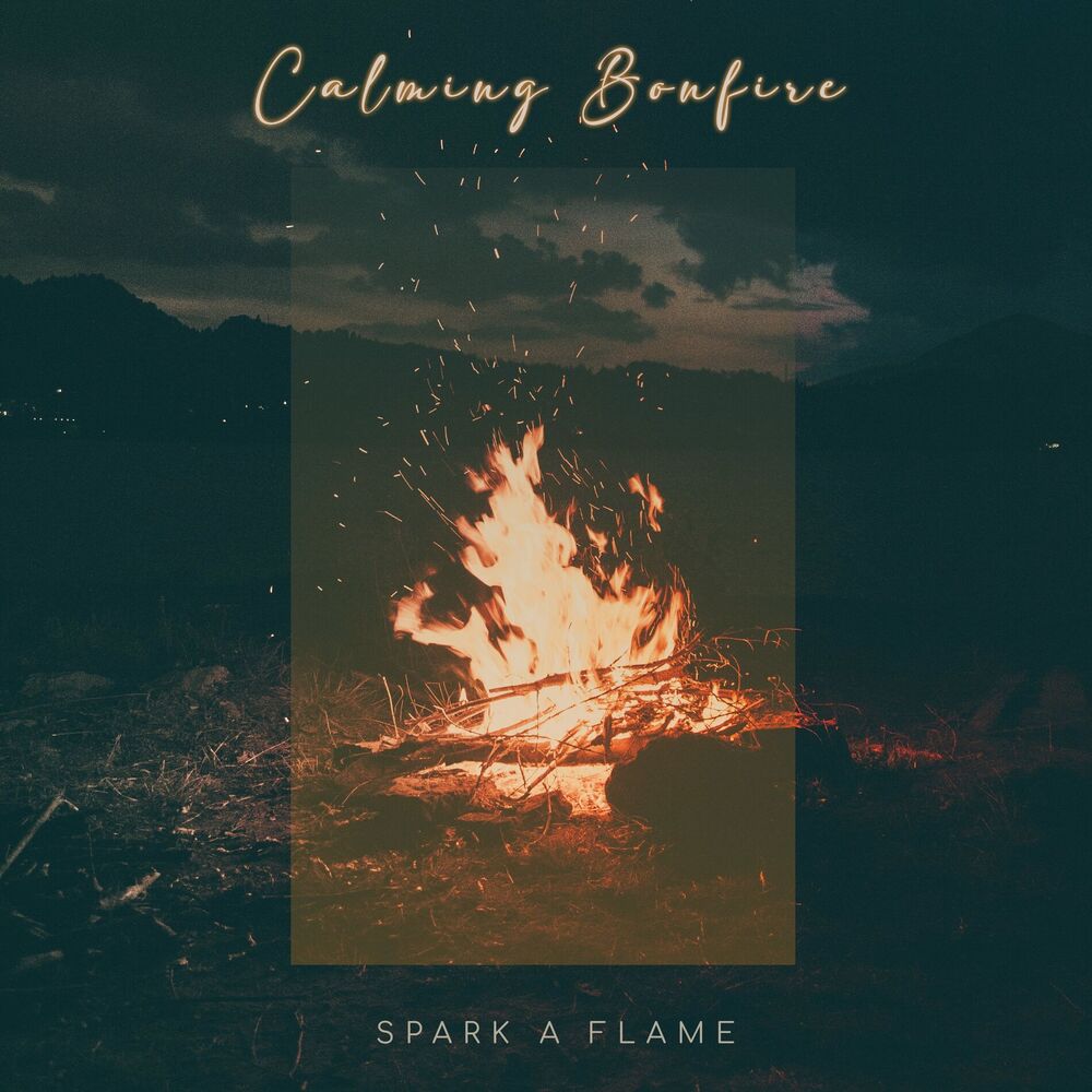 Picture of Spark A Flame