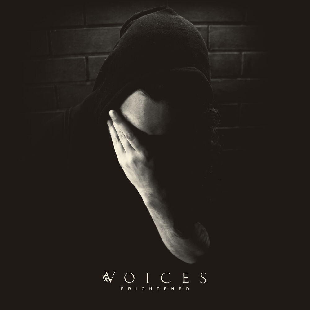 Picture of Voices