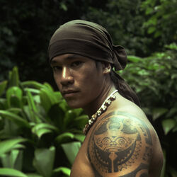 Picture of Tei