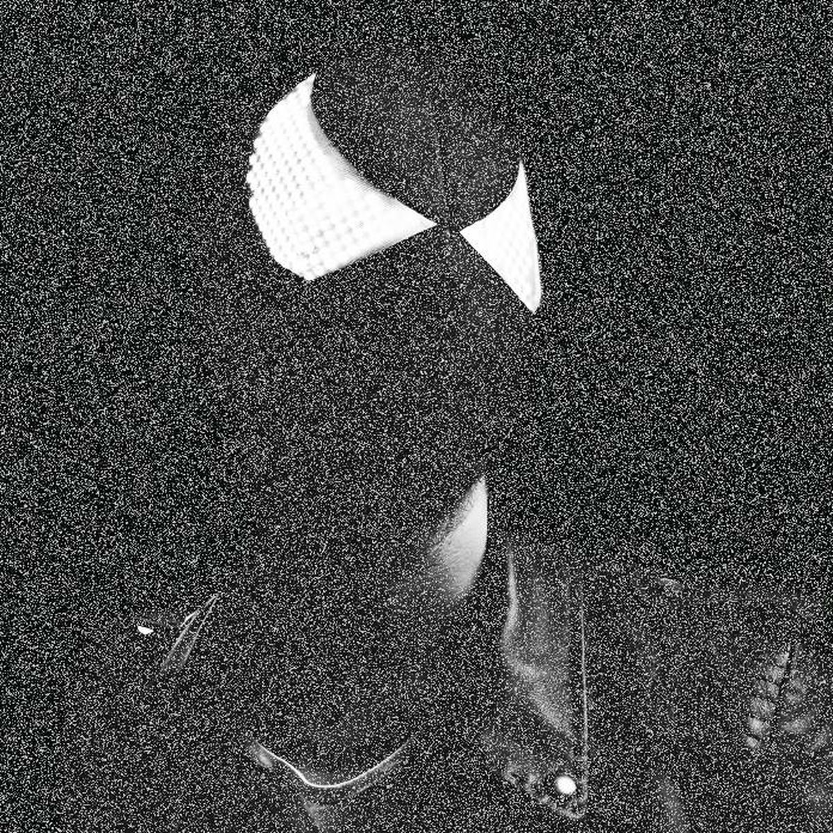 Artist picture of The Bloody Beetroots