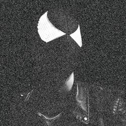 Picture of The Bloody Beetroots