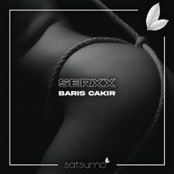 Picture of Barış Çakır