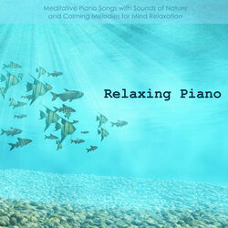 Picture of Piano Music Aria
