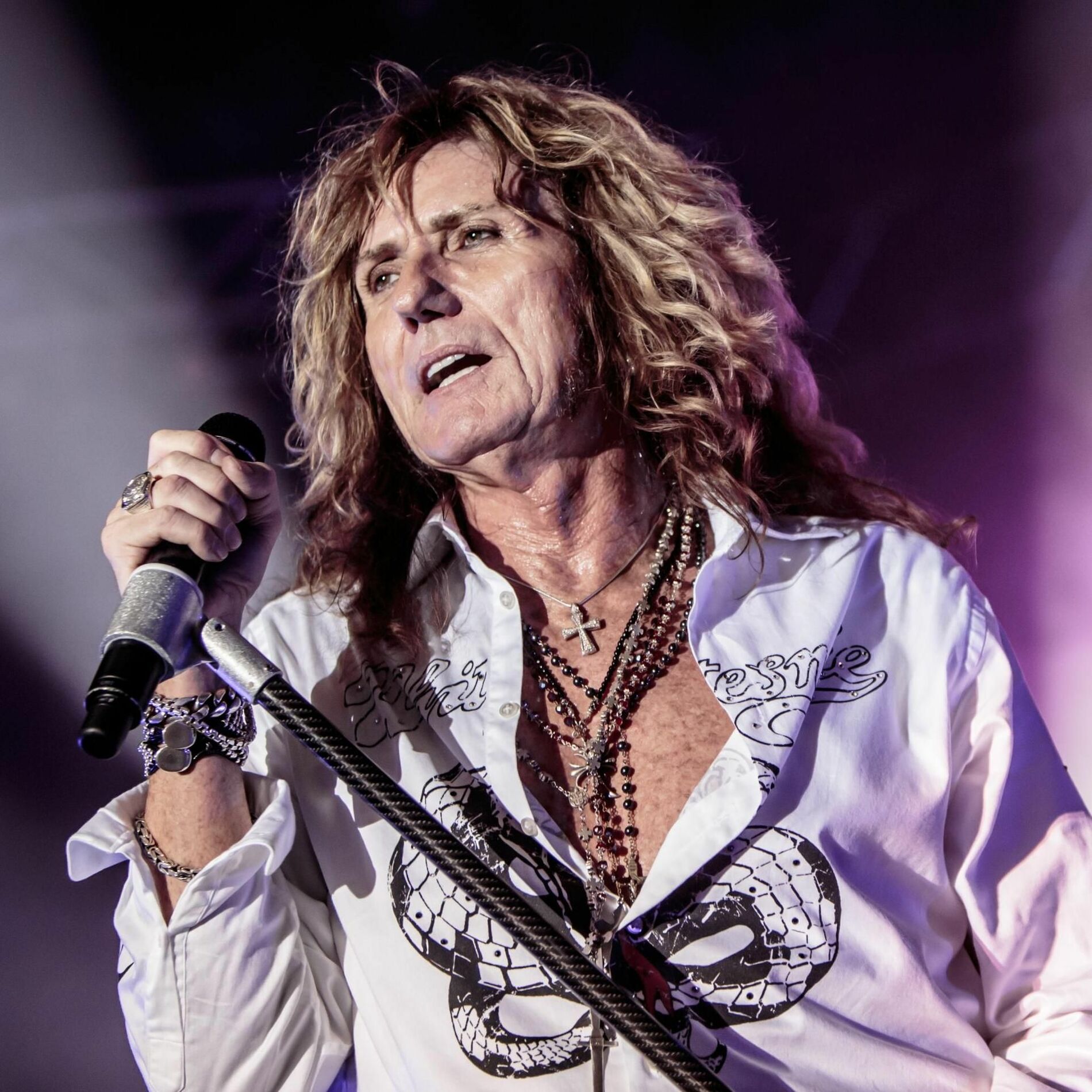 Artist picture of David Coverdale