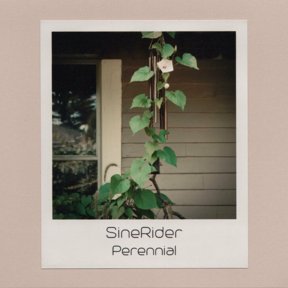 Picture of Sinerider