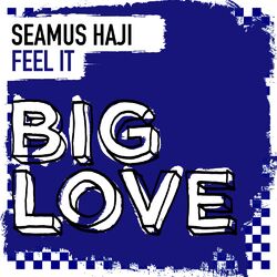 Picture of Seamus Haji