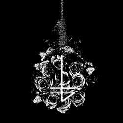 The Banner