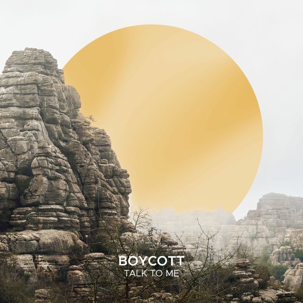 Photo de l'artiste Boycott