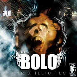 Picture of Bolo