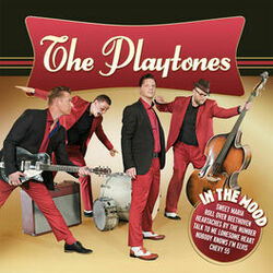 Picture of The Playtones