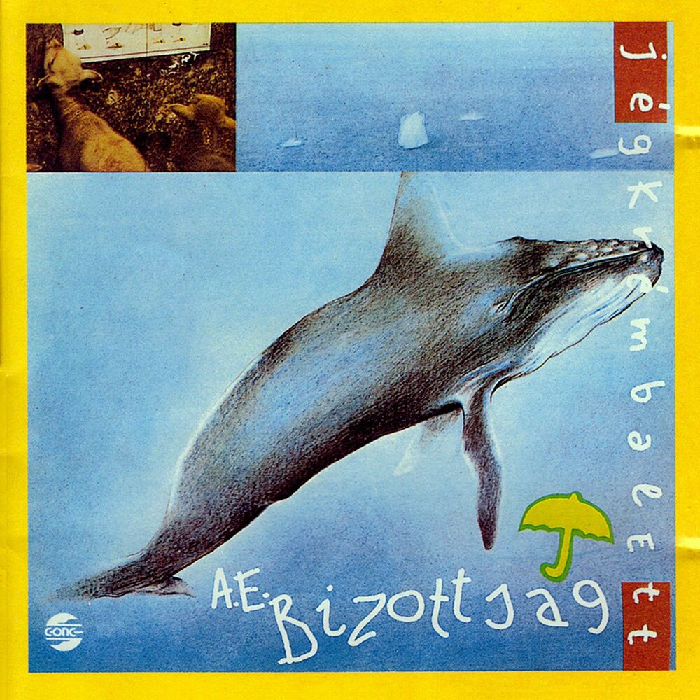Picture of A.E. Bizottság