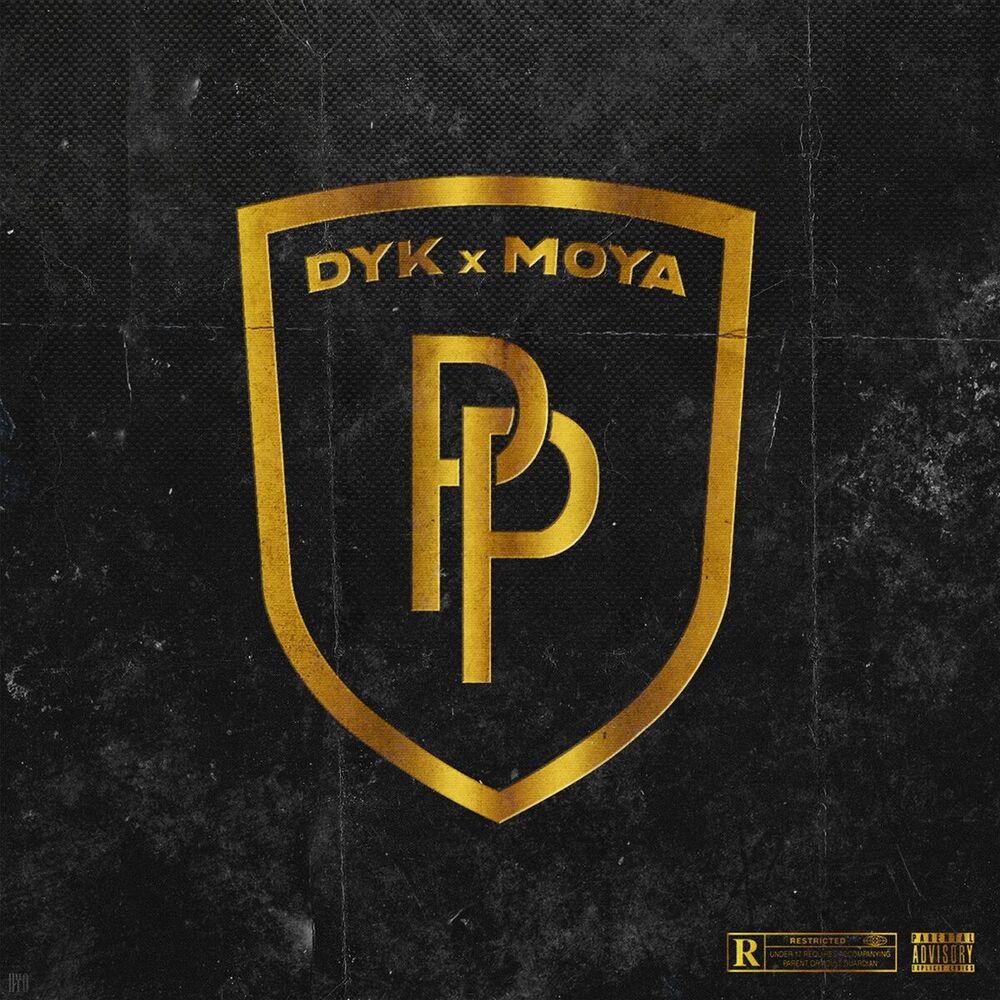 Picture of Dyk