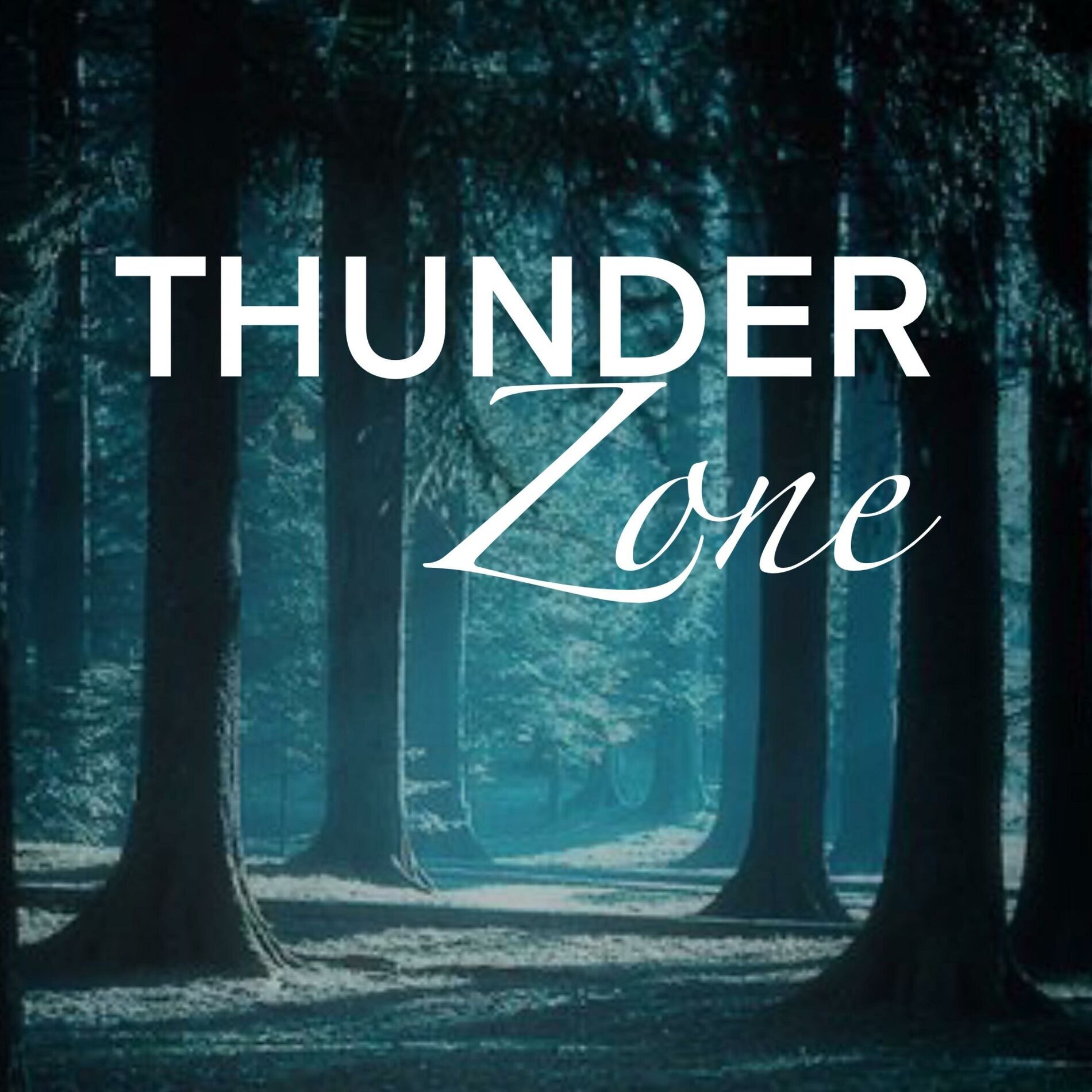 Thunder Zone