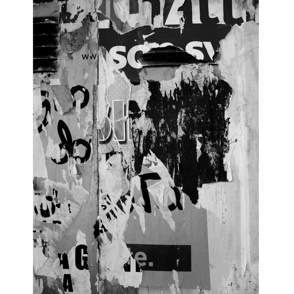 Picture of Brian Siskind