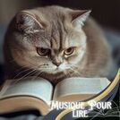 Musique Pour Étudier