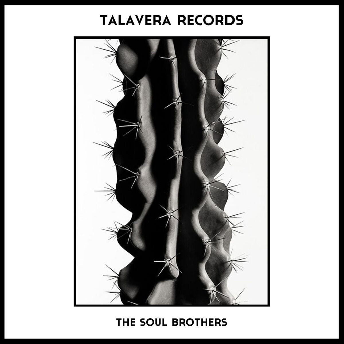 The Soul Brothers