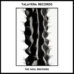 Picture of The Soul Brothers