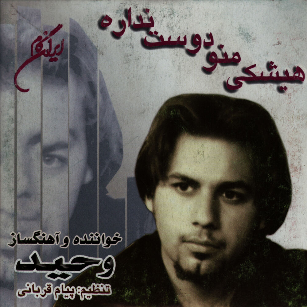 Picture of Vahid
