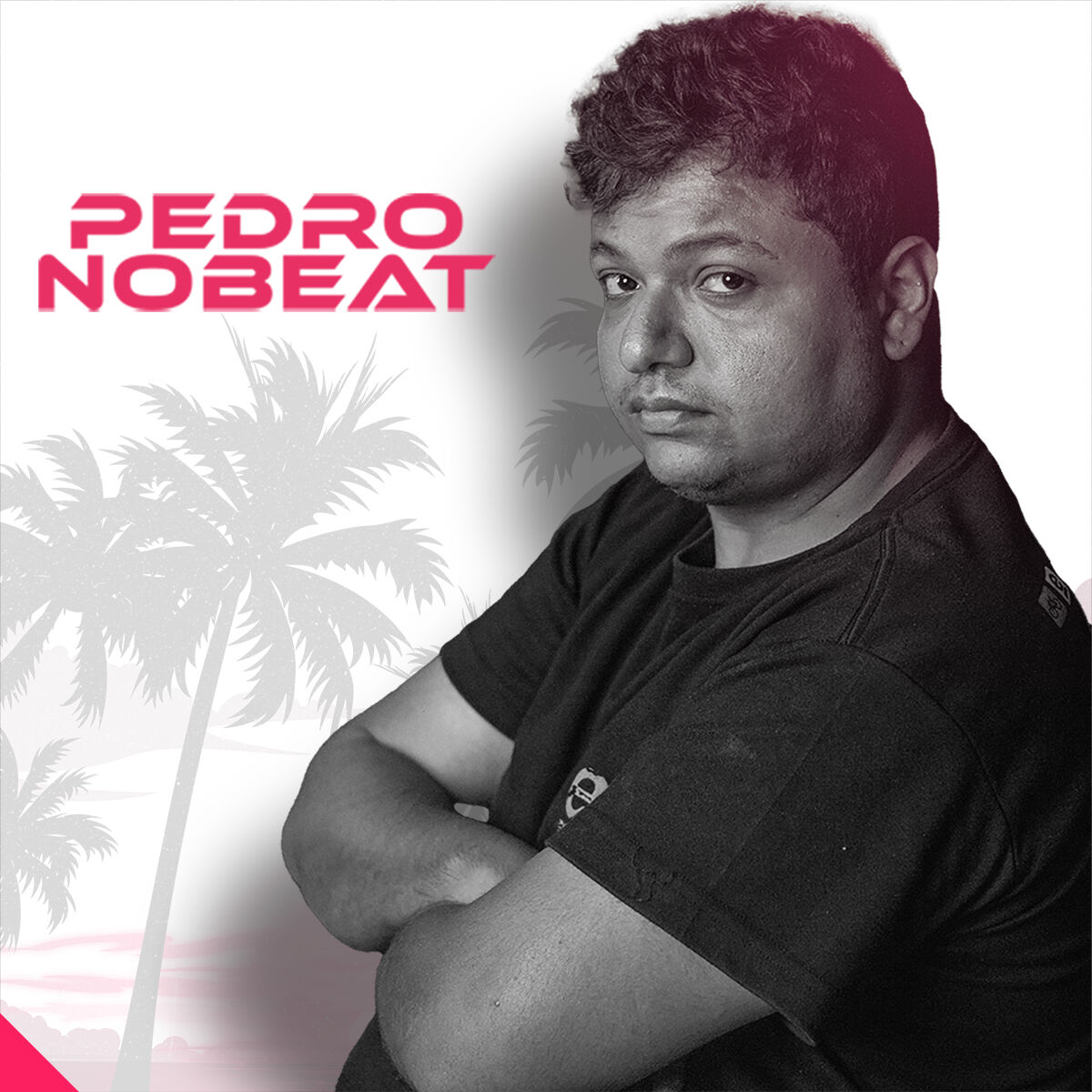 Artist picture of Pedro no Beat