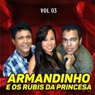 Armandinho e os Rubis da Princesa