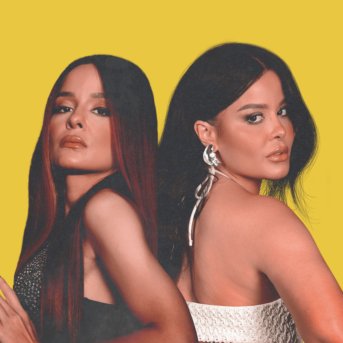 Artist picture of Maiara & Maraisa