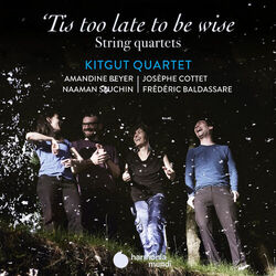 Picture of Kitgut Quartet