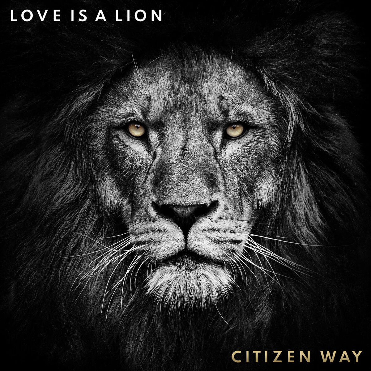 Citizen Way