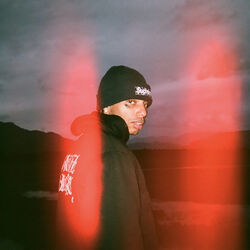 Picture of Night Lovell