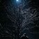 Nightcall